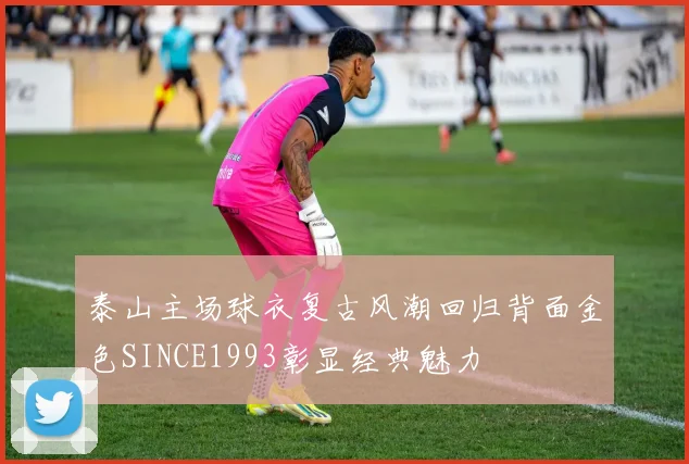 泰山主场球衣复古风潮回归背面金色SINCE1993彰显经典魅力