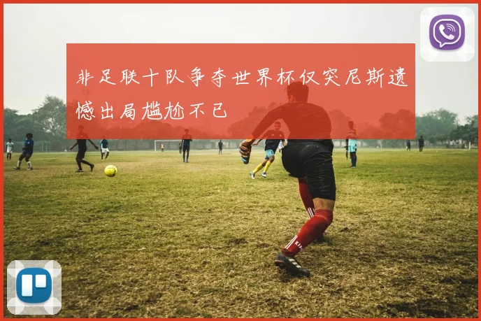 非足联十队争夺世界杯仅突尼斯遗憾出局尴尬不已